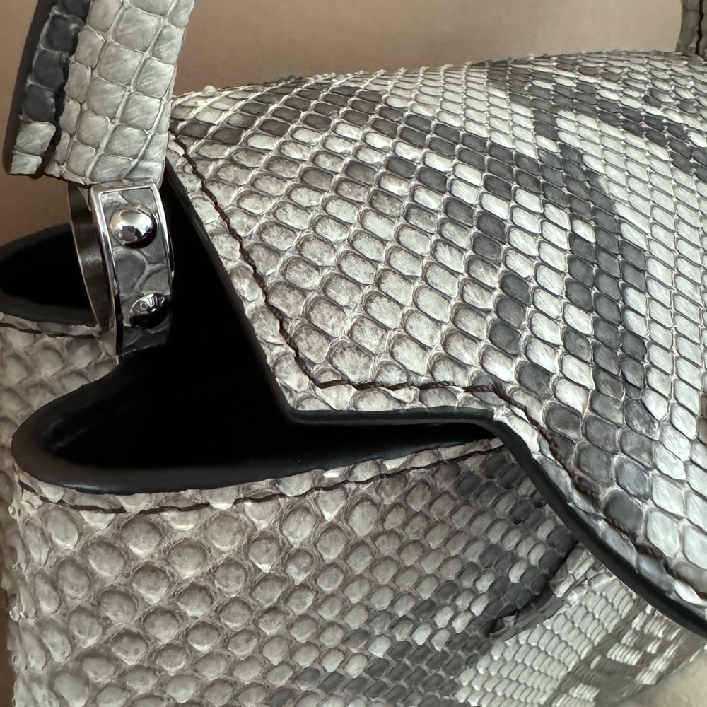 Rare Authentic Exotic Python Louis Vuitton mini Capucine - Picture 8 of 9